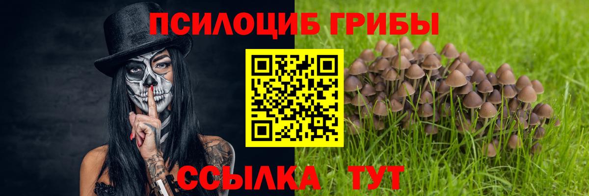 Галлюциногенные грибы Magic Shrooms  Галлюциногенные грибы ЛСД  Вход с VPN  Камышин 