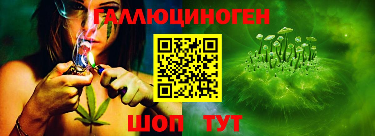 Галлюциногенные грибы прущие грибы Камышин